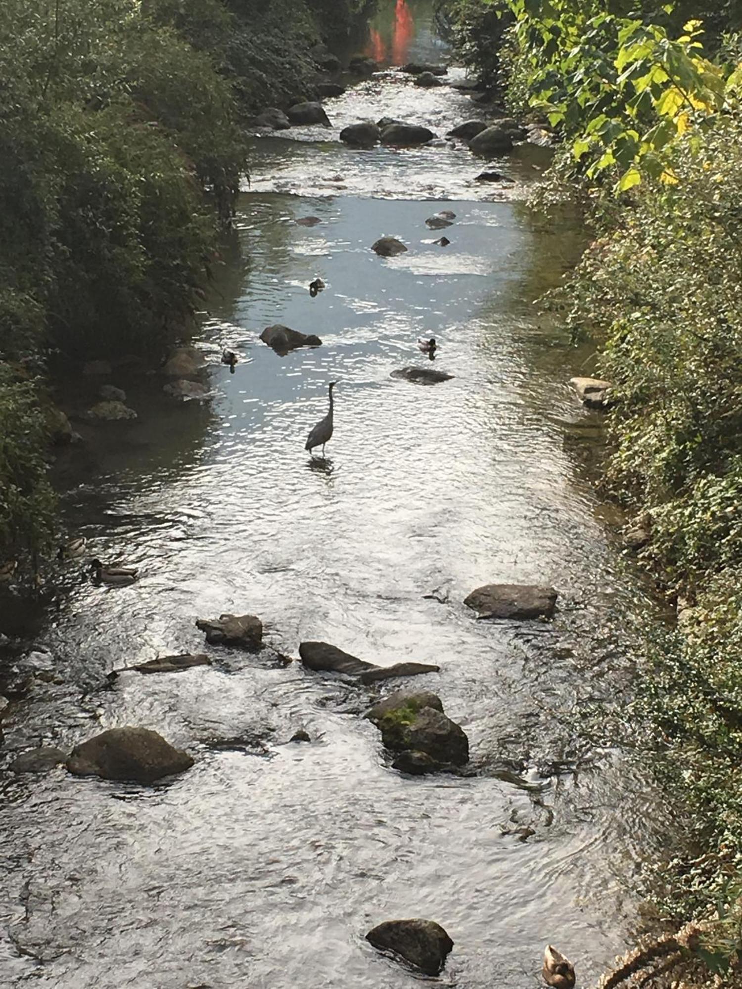 River House Porlezza Bagian luar foto